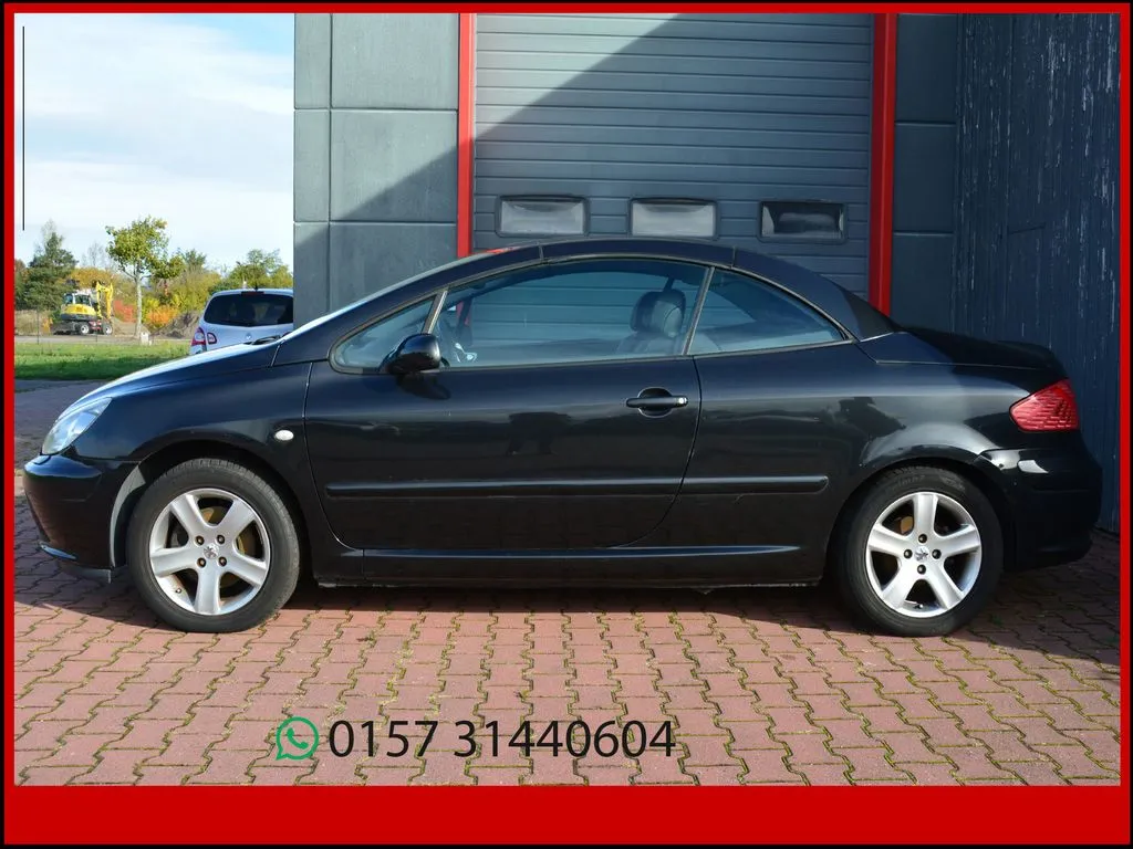 PEUGEOT 307 Main